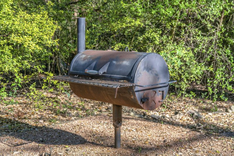 Bbq Removal in Madison, WI
